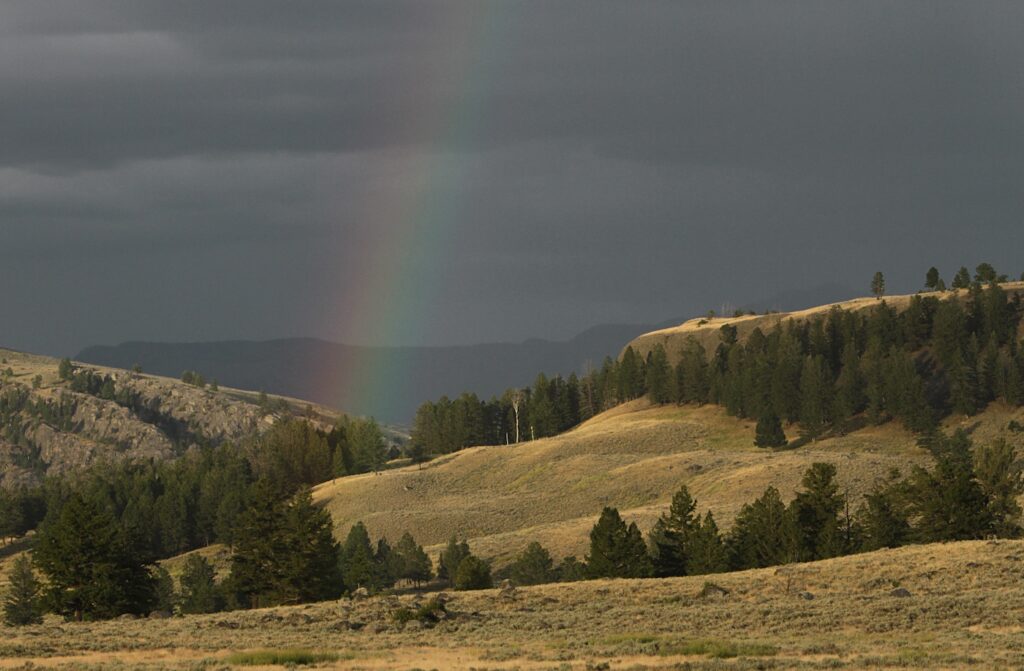 Rainbow over Junction Butte in Yellowstone's Lamar Valley