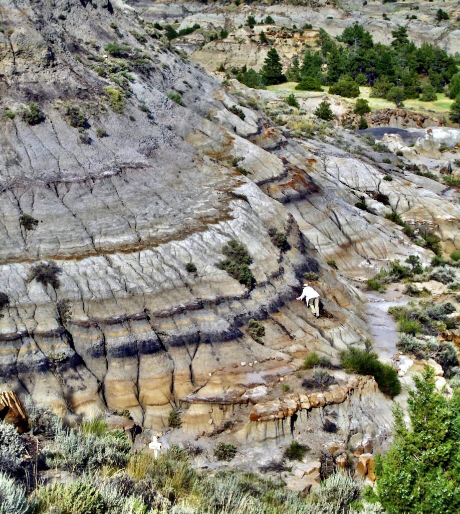 Dinosaur extinction boundary geological site Montana