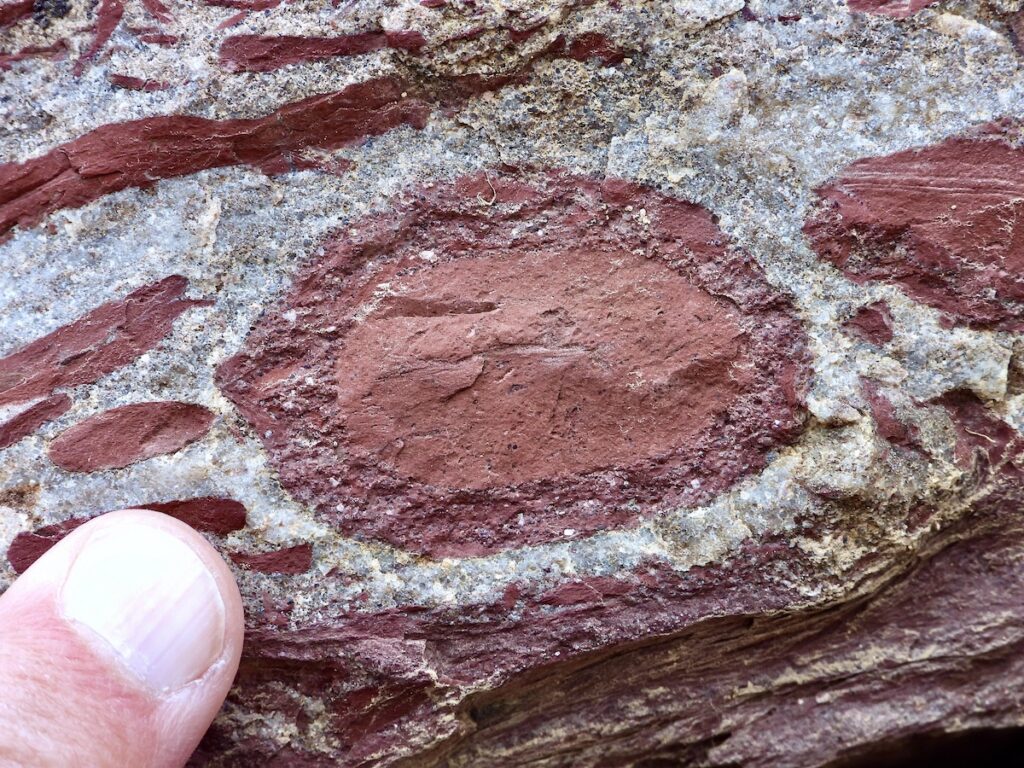  Armored mud ball geological formation Glacier National Park Montana