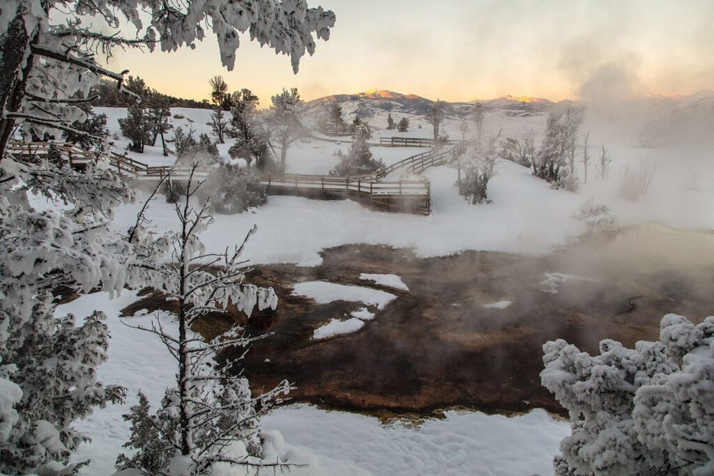 Steam rising from Mammoth Hot Springs terraces and boardwalks under frost-covered trees at winter sunset in Yellowstone