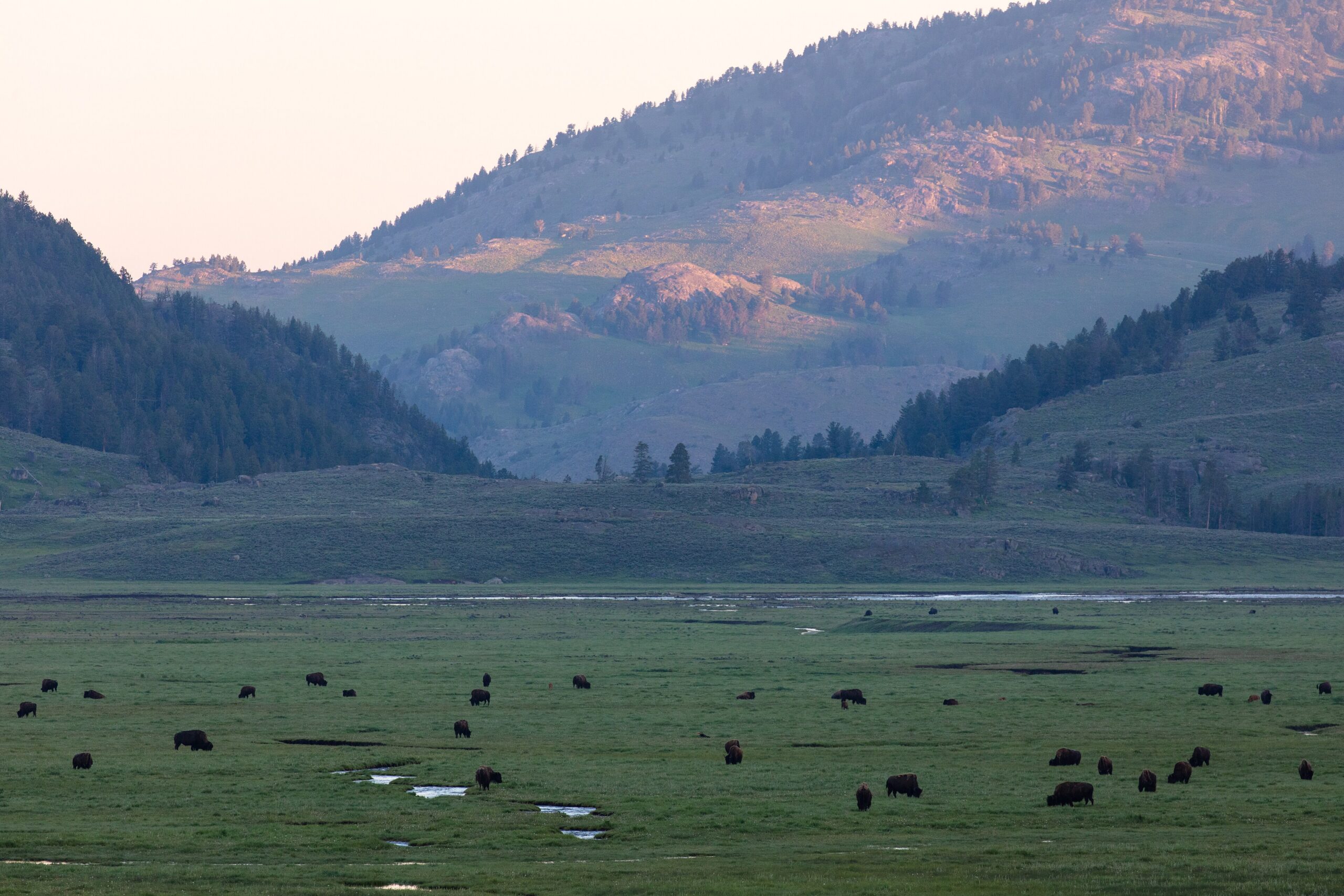 11 Best Day Trips from Bozeman, Montana (2026)