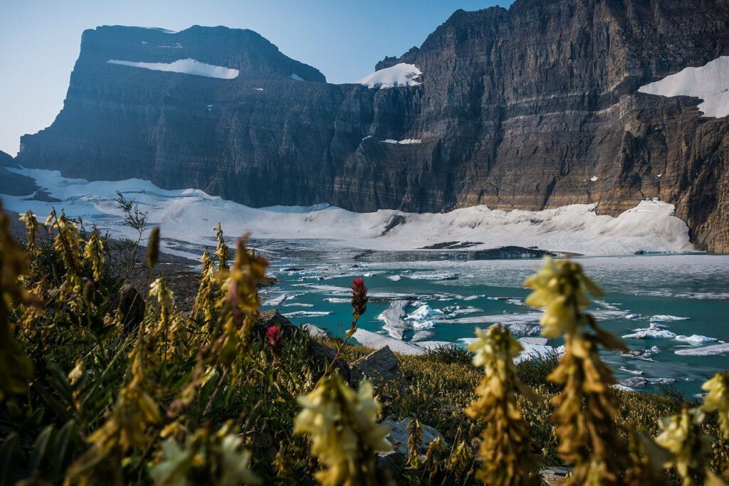 Grinnell Glacier above an icy turquoise lake with wildflowers in the foreground in the Many Glacier valley