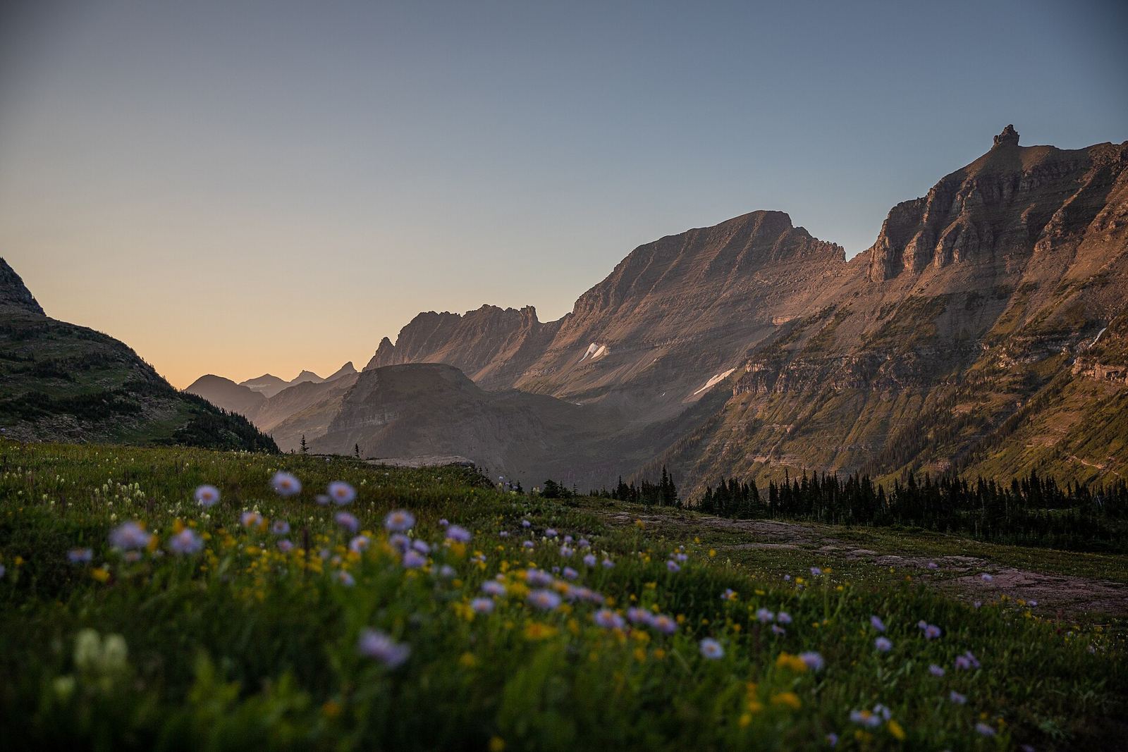 Best Time to Visit Glacier National Park: A Season-by-Season Guide (2027)