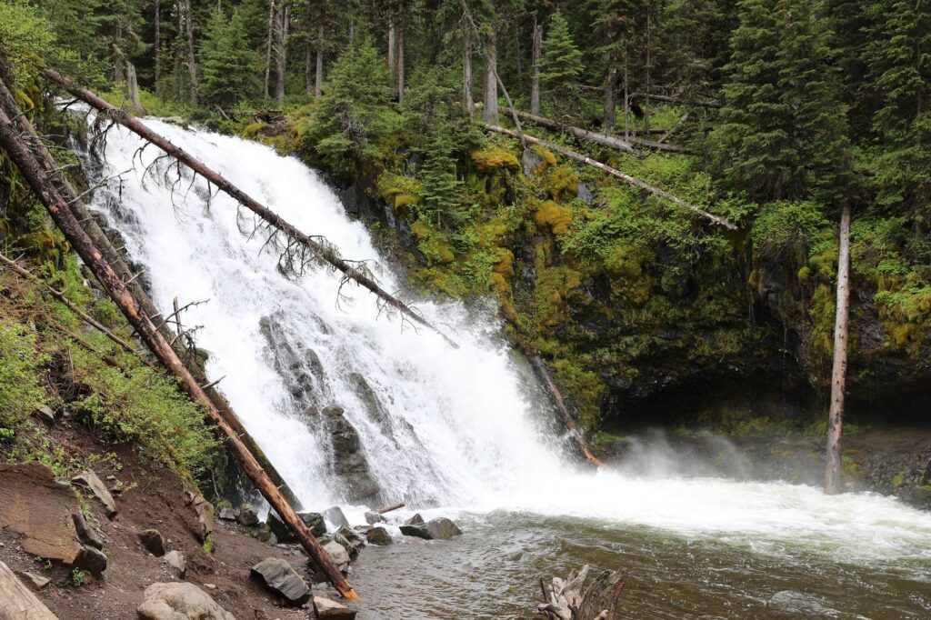 Grotto Falls spilling over rocks into Hyalite Creek in the forest south of Bozeman
