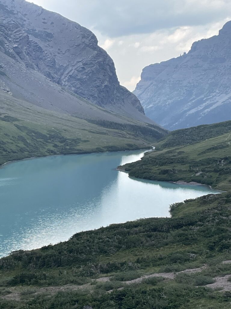 Turquoise Cracker Lake between steep gray cliffs under an overcast sky, seen from the hillside above the shore in the Many Glacier valley